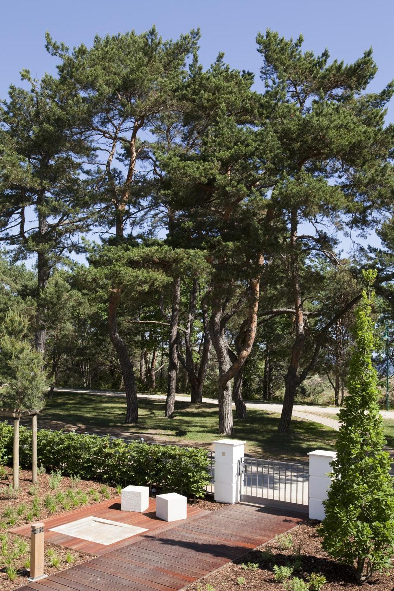 ชไตเกนแบร์เกอร์ แกรนด์โฮเต็ล แอนด์ สปา เฮริงสดอร์ฟ Hotel ภายนอก รูปภาพ Pines in the park